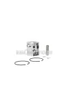 Malossi PISTON 46,5 0 pin 10 rect. rings 2 C