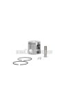 Malossi PISTON 47 pin 10 rect. rings 2 0