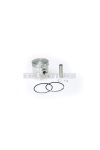 Malossi PISTON 47 pin 10 rect. rings 2 A