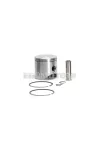 Malossi PISTON 65 pin 16 semi. rings 2 D