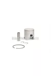 Malossi PISTON 47,6 pin 12 chro.rect.ring  1 A