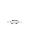 Malossi PISTON RING 45,9x1,2 semi-trapezoidal