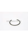 Malossi C - PISTON PIN CLIP 19x1