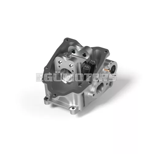 Malossi V4 HEAD 74-75,5 aluminium H2O Maxi 200>300