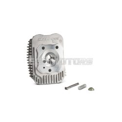 Malossi ALUM. CYL.HEAD 43 PIAGGIO CIAO