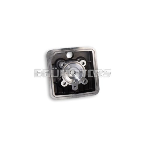 Malossi CYL.HEAD 45,5 PEUGEOT LC with decompr.