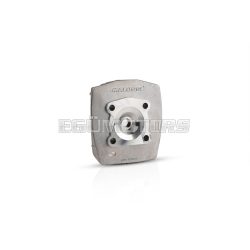Malossi CYL.HEAD 45,5 WALLAROO-PEUGEOT