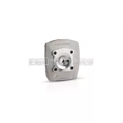 Malossi CYL.HEAD 45,5 WALLAROO-PEUGEOT