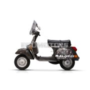Malossi SPORT SCREEN - LIGHT SMOKE - W 507xH 440 THK 3 mm