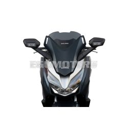 Malossi SPORT SCREEN - DARK SMOKE - W 395xH 400 THK 3 mm