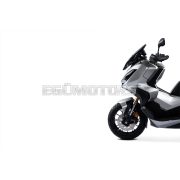 Malossi SPORT SCREEN - DARK SMOKE - W 290xH 460 THK 3 mm