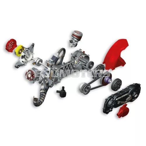 Malossi C-ONE 70cc Piaggio complete engine (wheel 12/13) - not assembled