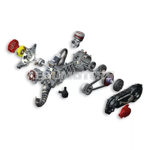 Malossi C-ONE 70cc Piaggio complete engine (wheel 10) - not assembled