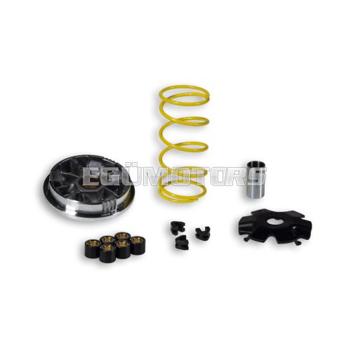 Malossi VARIATOR MULTIVAR
