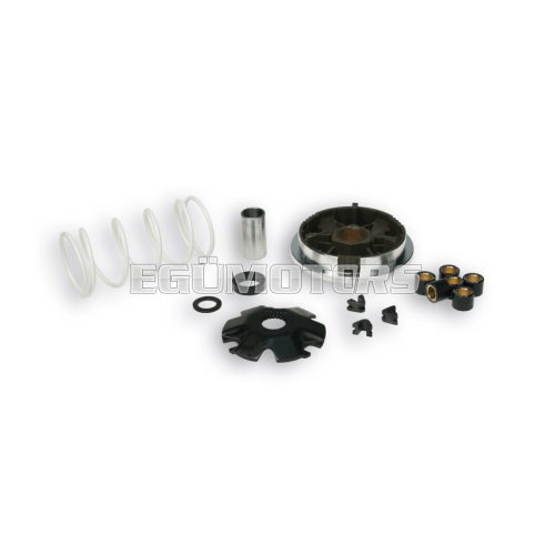 Malossi VARIATOR MULTIVAR Aprilia Di-Tech