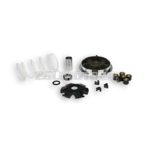 Malossi VARIATOR MULTIVAR Aprilia Di-Tech