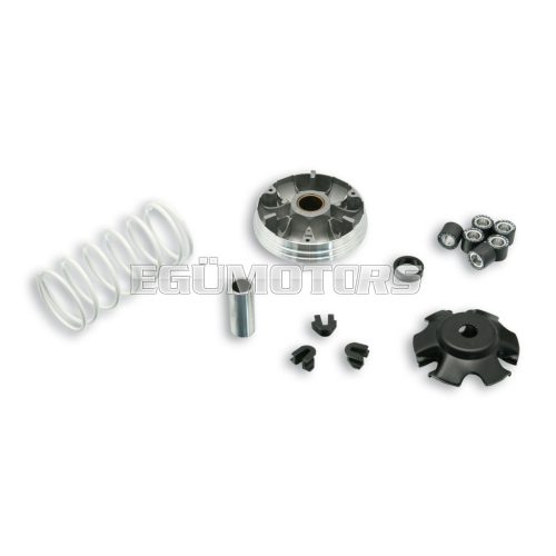 Malossi VARIATOR MULTIVAR 2000 a Scarabeo 50 4t