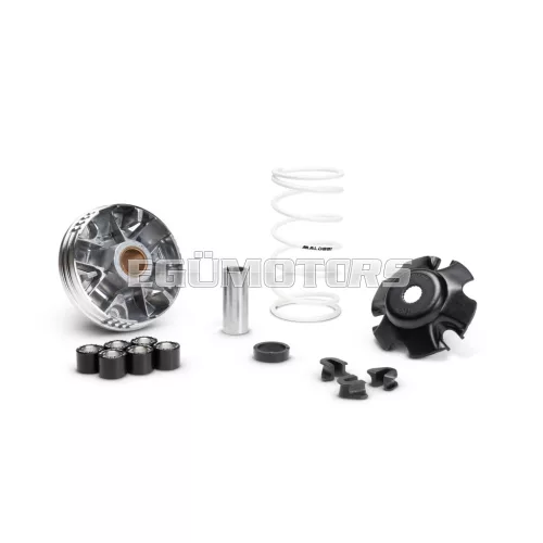 Malossi VARIATOR MULTIVAR 2000 a Scarabeo 50 4t