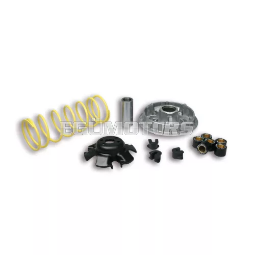 Malossi VARIATOR MULTIVAR 2000 Kymco 250