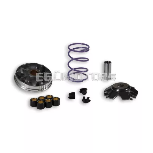Malossi VARIATOR MULTIVAR 2000 Fly, Liberty, Scarabeo 100 4T