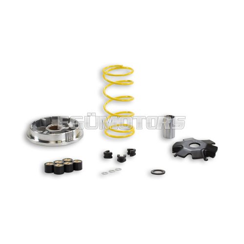 Malossi VARIATOR MULTIVAR 2000 ADDRESS V 100 2T