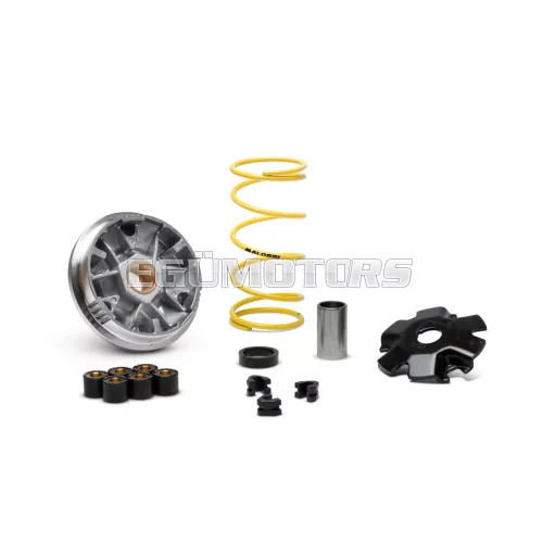 Malossi VARIATOR MULTIVAR ATV-QUAD