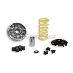 Malossi VARIATOR MULTIVAR 2000 LINHAI MONARCH 125-150 4T