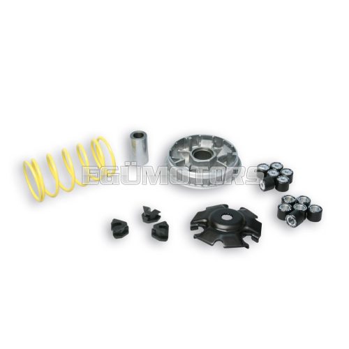 MULTIVAR 2000 variator