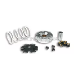 Malossi VARIATOR MULTIVAR for SCOOTER 139QMB