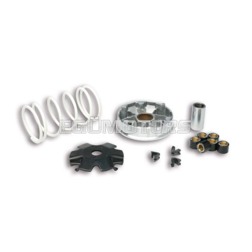 Malossi VARIATOR MULTIVAR for SCOOTER 139QMB