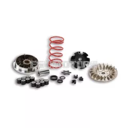Malossi VARIATOR MULTIVAR YAMAHA-MINARELLI MHR
