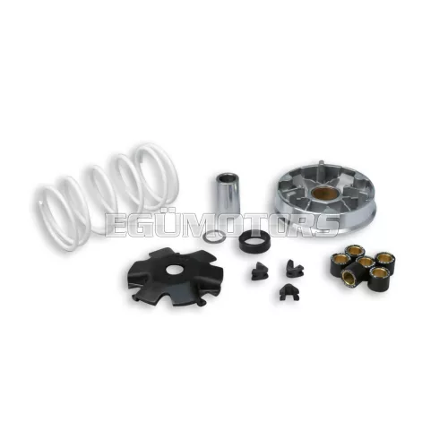 Malossi VARIATOR MULTIVAR for SCOOTER KYMCO-SYM 4T