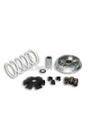 Malossi VARIATOR MULTIVAR 2000 for SCOOTER 50 4t