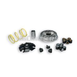 MULTIVAR 2000 variator