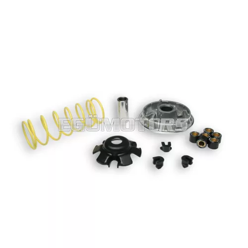 Malossi VARIATOR MULTIVAR 2000, AEON COBRA 400 4T