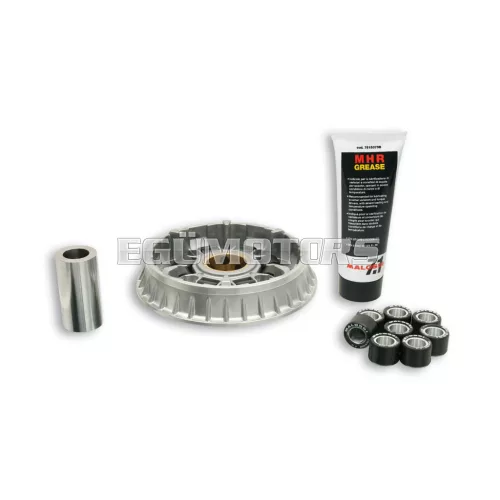 Malossi VARIATOR MULTIVAR 2000, APRILIA SRV 850, GP800