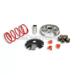 Malossi VARIATOR MULTIVAR 2000 Yamaha D'ELIGHT