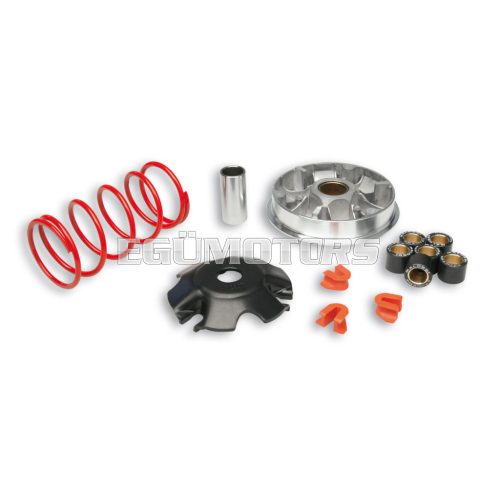 Malossi VARIATOR MULTIVAR 2000 Yamaha D'ELIGHT