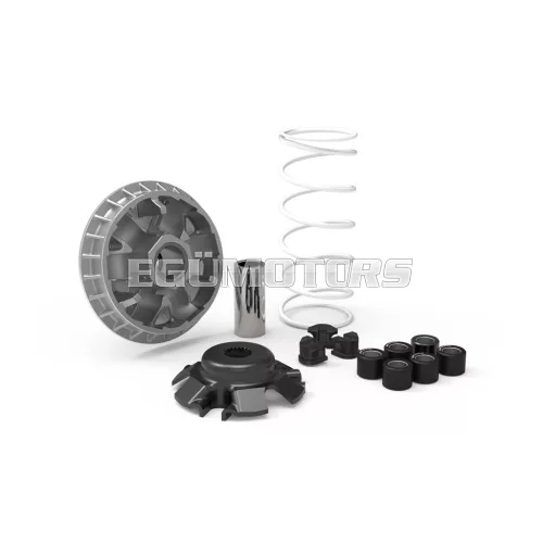 Malossi VARIATOR MULTIVAR 2000, QUADRO3 350