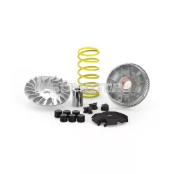 Malossi VARIATOR MULTIVAR 2000, Yamaha 125 4T