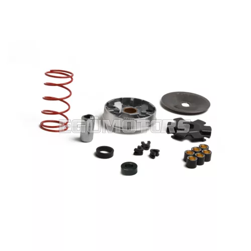 Malossi VARIATOR MULTIVAR MHR for OVER RANGE