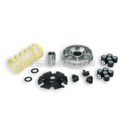 MULTIVAR 2000 variator
