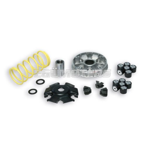MULTIVAR 2000 variator