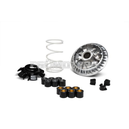 Malossi VARIATOR MULTIVAR 2000