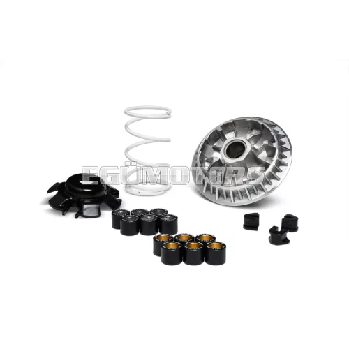Malossi VARIATOR MULTIVAR 2000, Kymco 300, Kawasaki J300