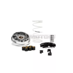 Malossi VARIATOR MULTIVAR, BYE BIKE ONE 50 2T