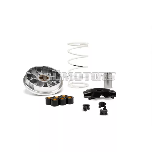 Malossi VARIATOR MULTIVAR, BYE BIKE ONE 50 2T