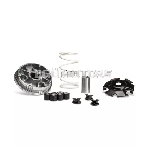 MULTIVAR 2000 variator