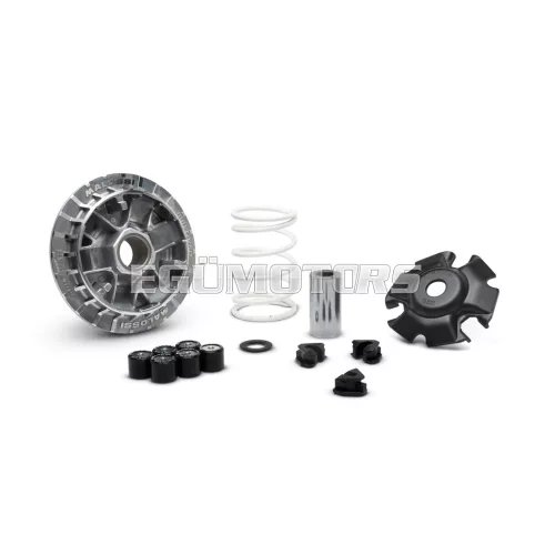 MULTIVAR 2000 variator