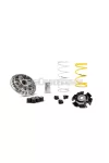 Malossi VARIATOR MULTIVAR 2000